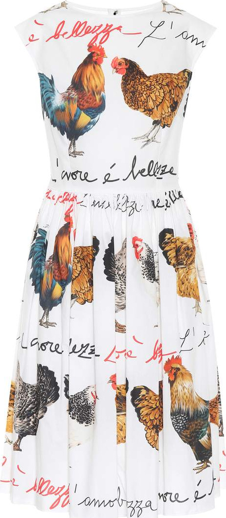 Dolce & Gabbana Hen-printed cotton poplin dress