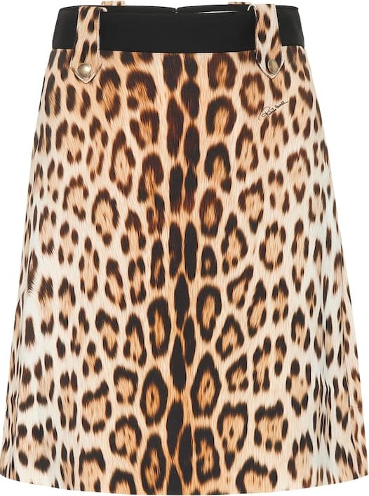 Roberto Cavalli Leopard-print A-line skirt
