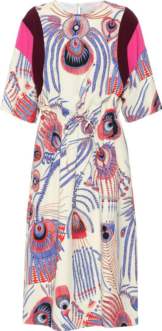 Dries Van Noten Dometta printed midi dress