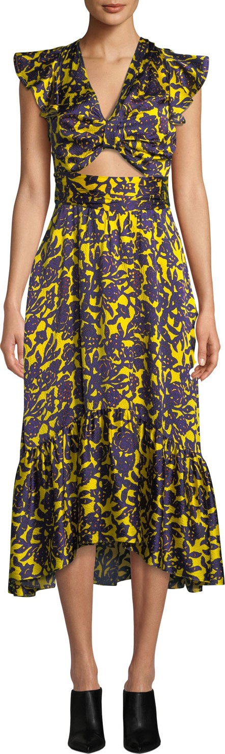 A.L.C. Valencia Cutout Floral-Print Silk Dress