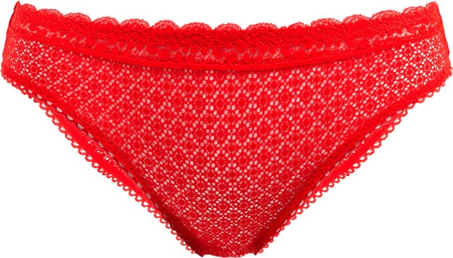 Stella McCartney Katie Kissing geometric lace briefs