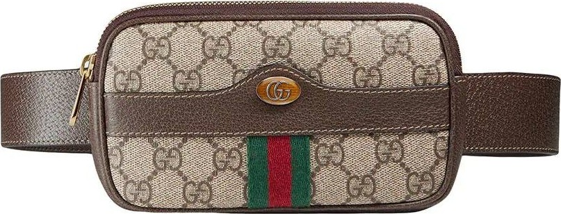 Gucci Ophidia GG Supreme belted iPhone case