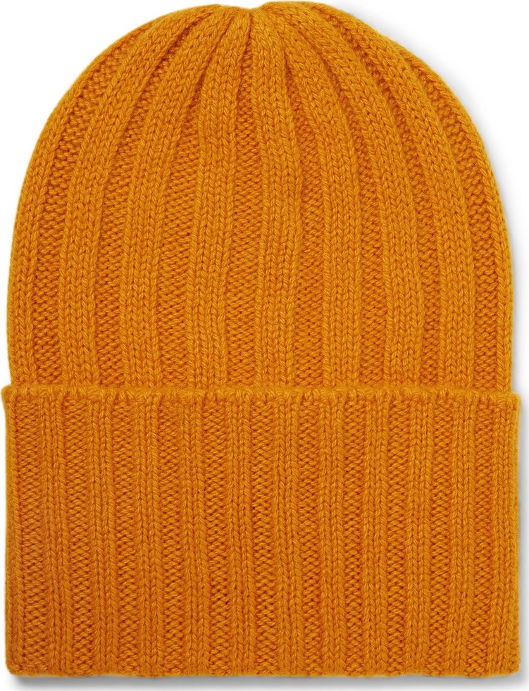 The Elder Statesman Short Bunny Echo Ribbed Cashmere Beanie