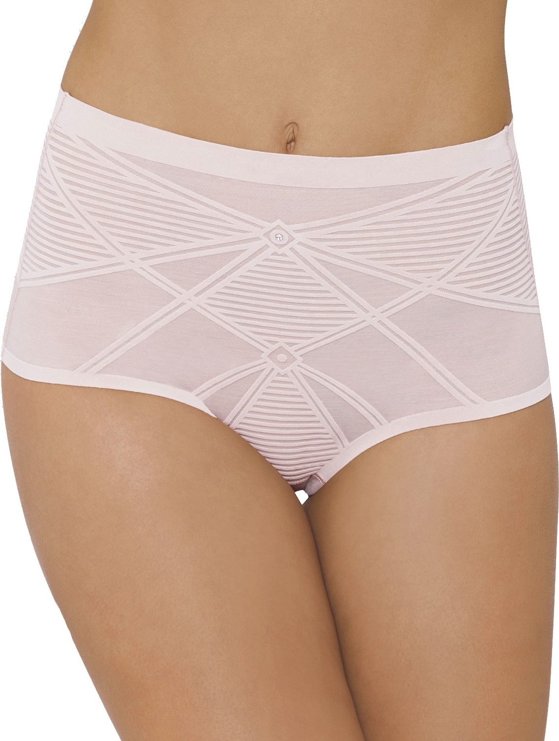 Nancy Ganz Sheer Decadence High-Waist Briefs