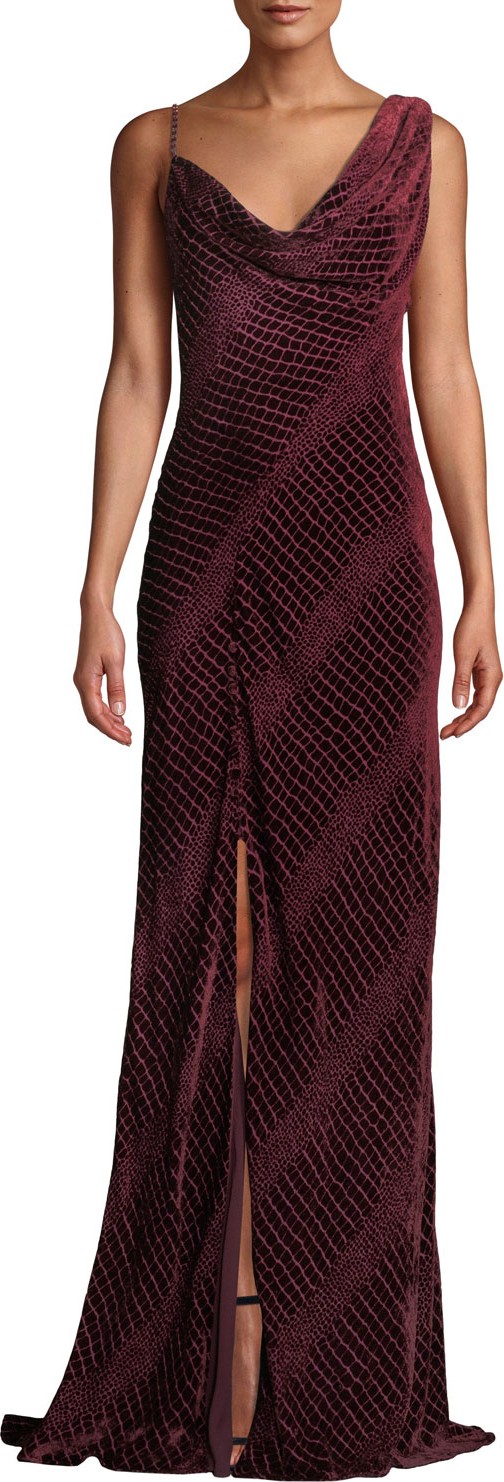 Roberto Cavalli Sleeveless Velvet Cowl Neck Gown
