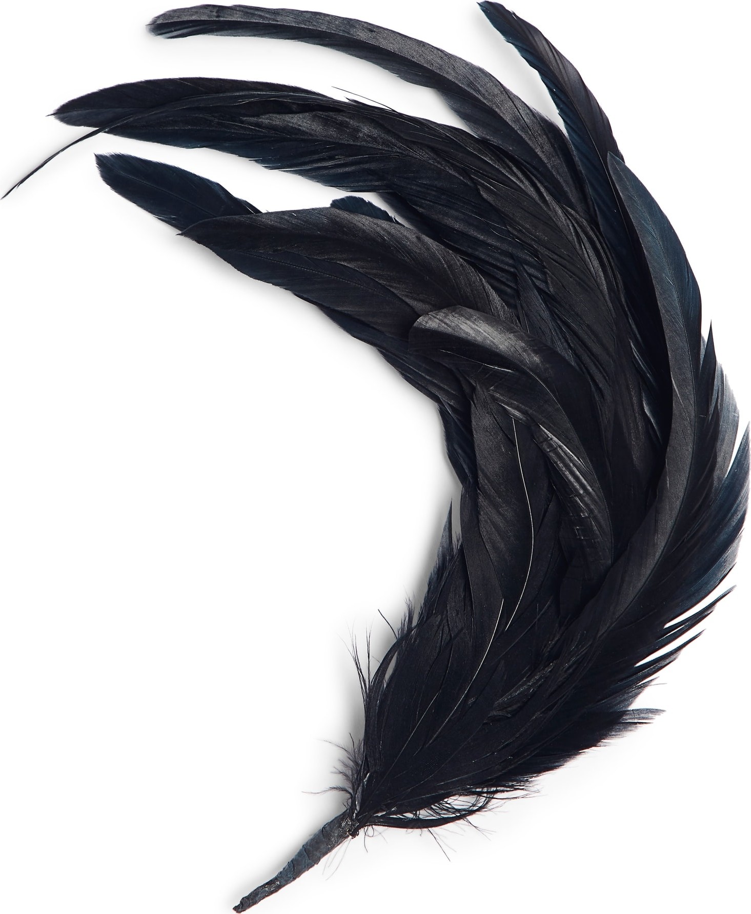 Dries Van Noten Feather Brooch