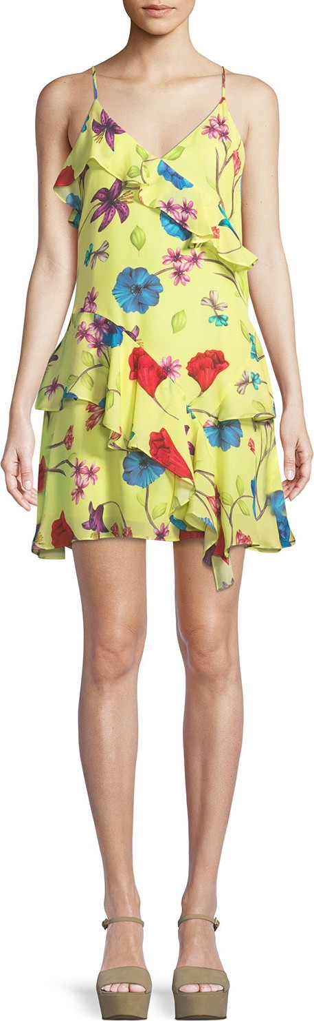 Parker Holly Floral Ruffle Mini Dress