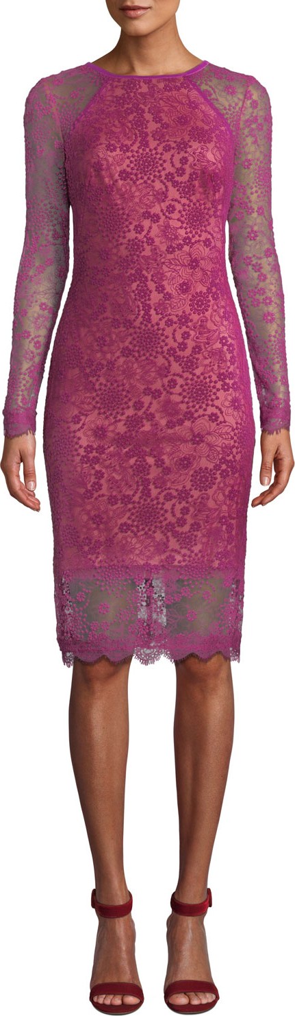 Tadashi Shoji Evka Lace Embroidered Long-Sleeve Dress