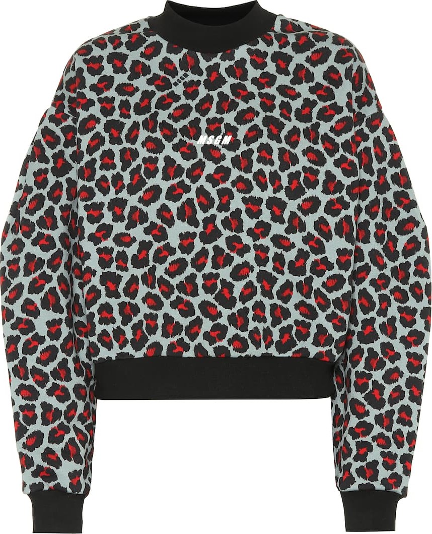 MSGM Leopard-print cotton sweatshirt