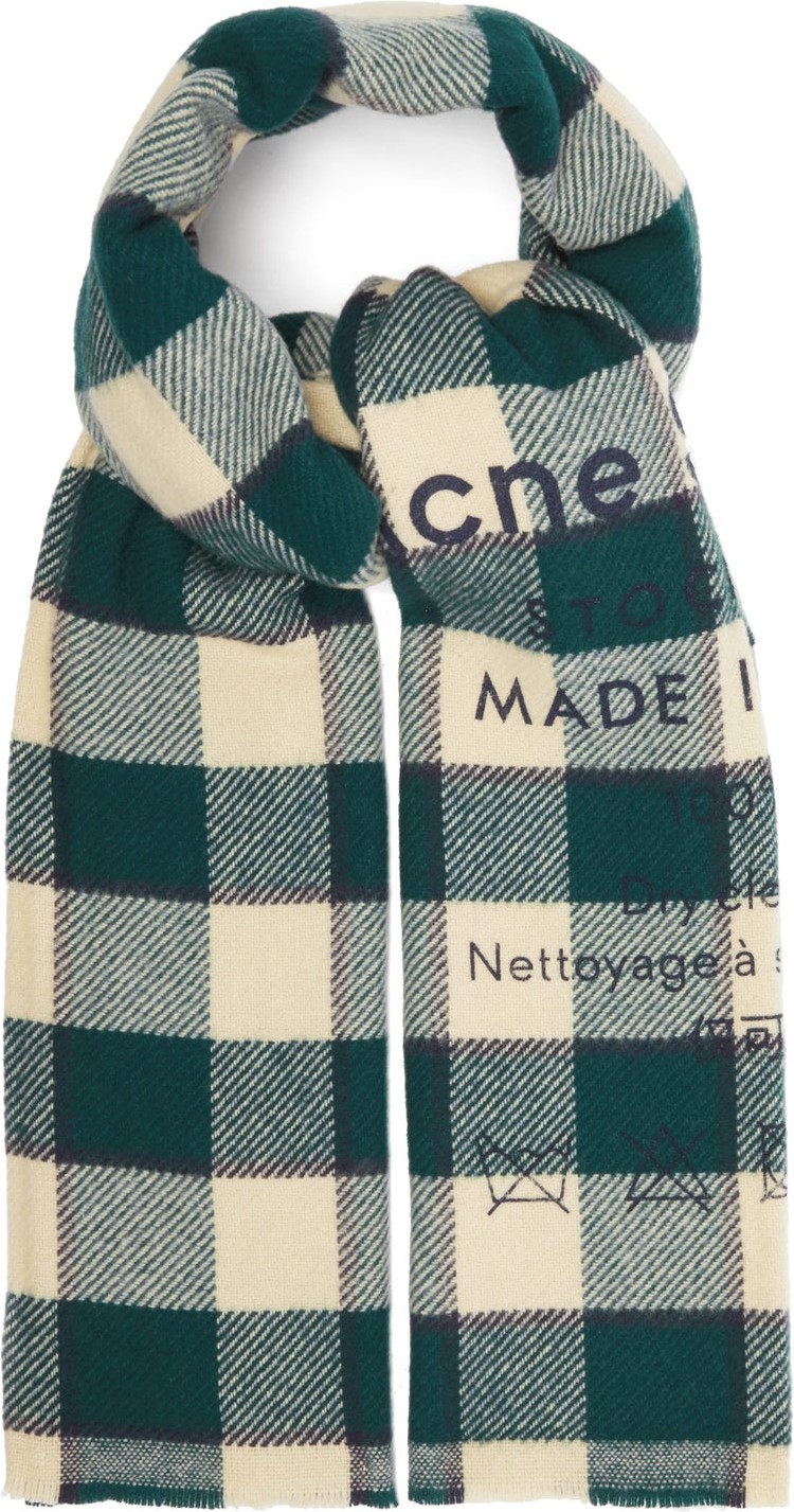 Acne Studios Cassiar flocked-logo checked wool scarf
