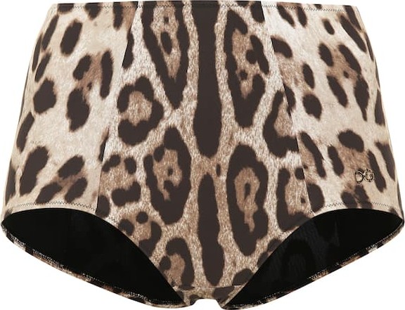 Dolce & Gabbana Leopard-print bikini bottoms