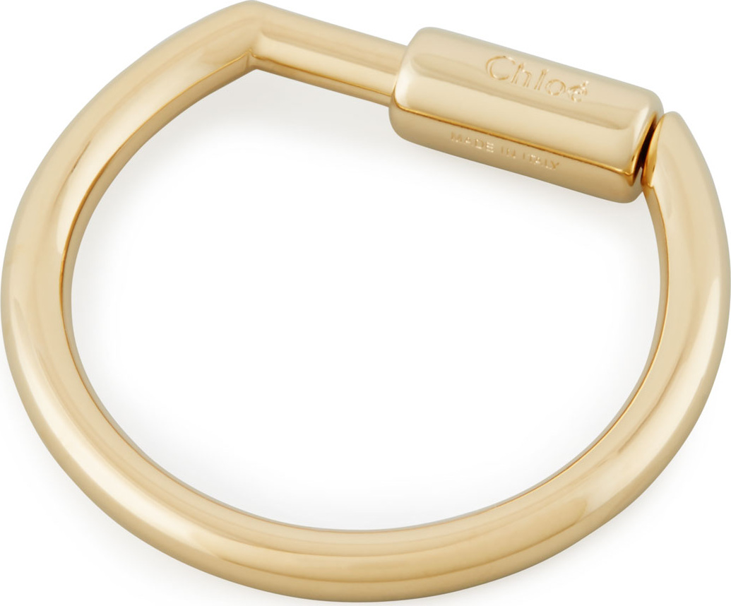 Chloe Golden Hook for Charms