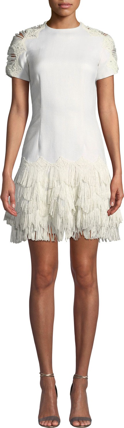 Jonathan Simkhai Short-Sleeve Macrame Fringe Cocktail Dress