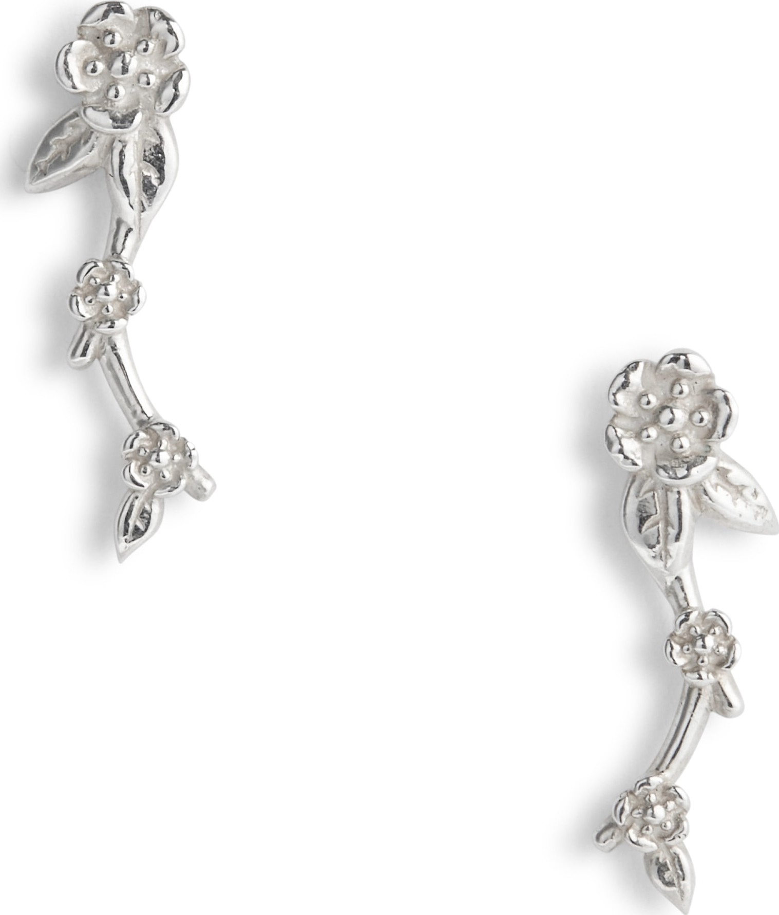 Meadowlark Alba Ear Climbers