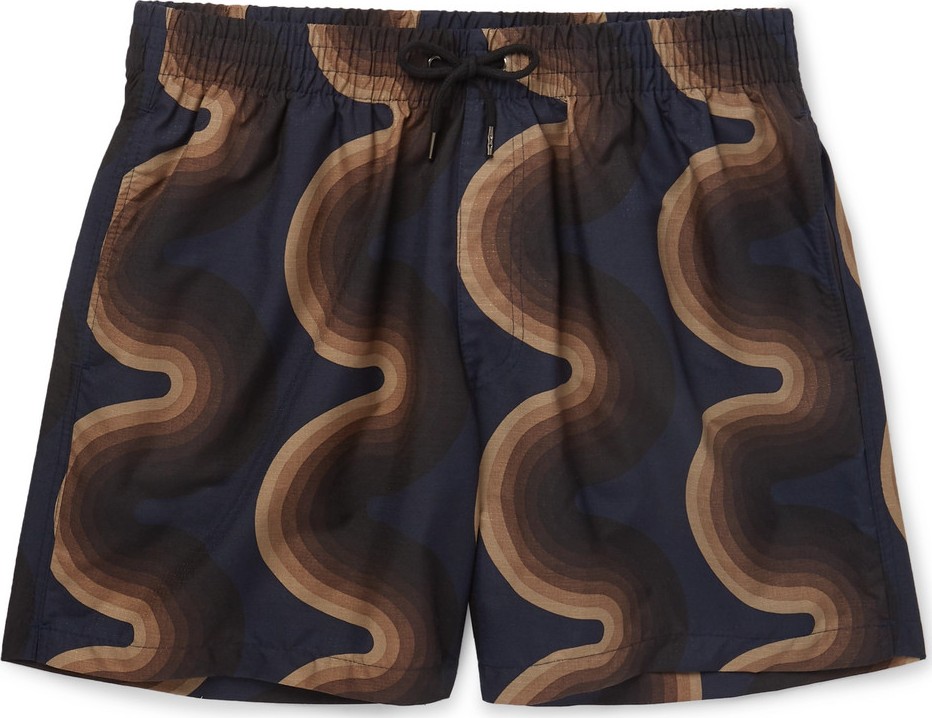 Dries Van Noten Printed Mid-Length Ripstop Swim Shorts
