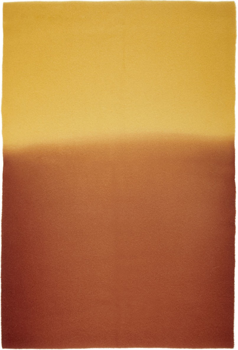 Sies Marjan Yellow & Burgundy Rem Koolhaas Edition Pastoral Scarf