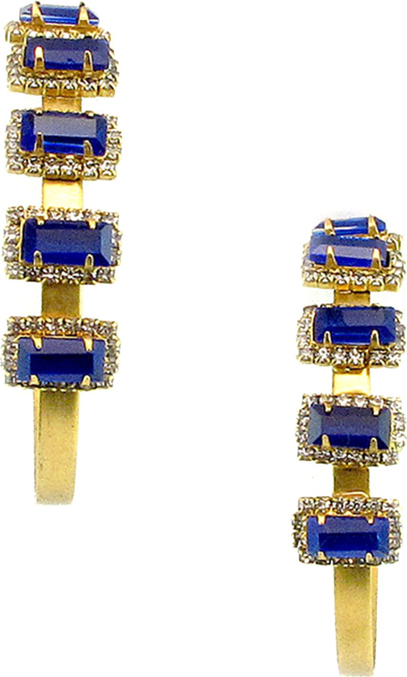 Elizabeth Cole Jalus Hoop Earrings