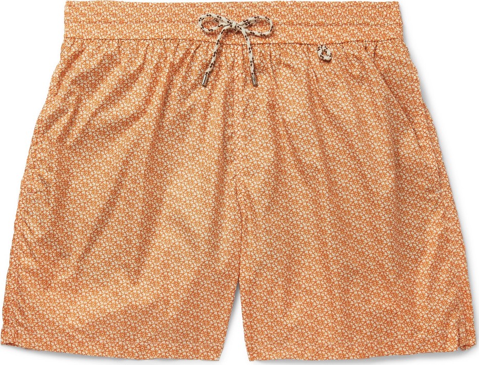 Loro Piana Mid-Length Printed Swim Shorts