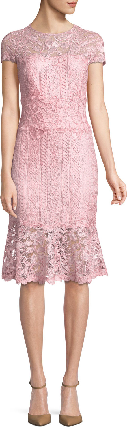 Tadashi Shoji Embroidered Lace Cocktail Dress