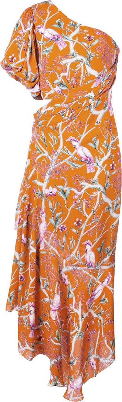 Johanna Ortiz Tropical print maxi dress