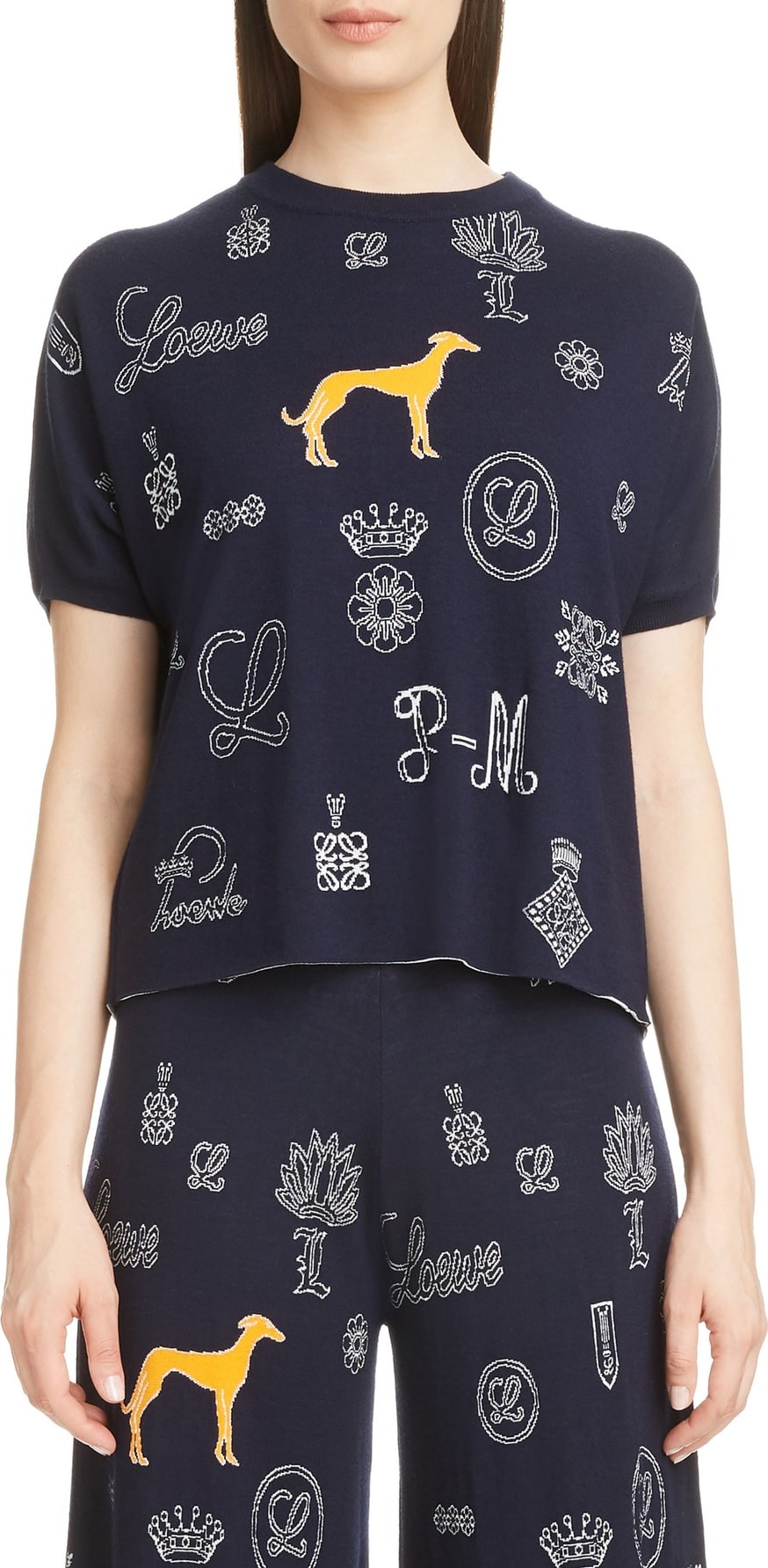 LOEWE Dog & Logo Knit Crop Sweater