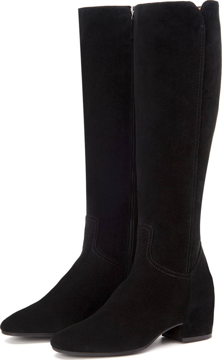 Aquatalia Ulu Tall Suede Boots