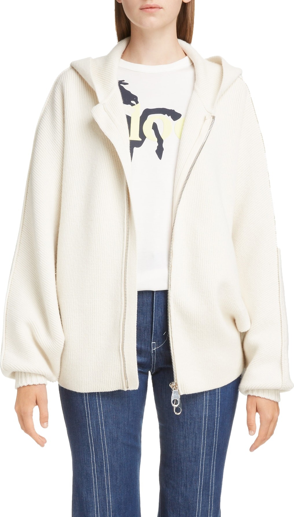 Chloe Wool & Cashmere Blend Hoodie