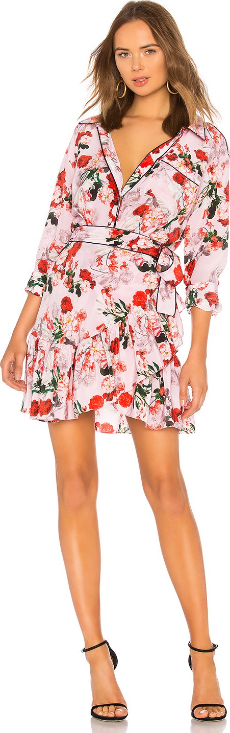 Marissa Webb Scarlet Silk Print Mini Dress