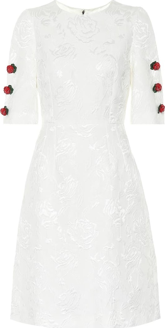 Dolce & Gabbana Embroidered cotton and silk dress