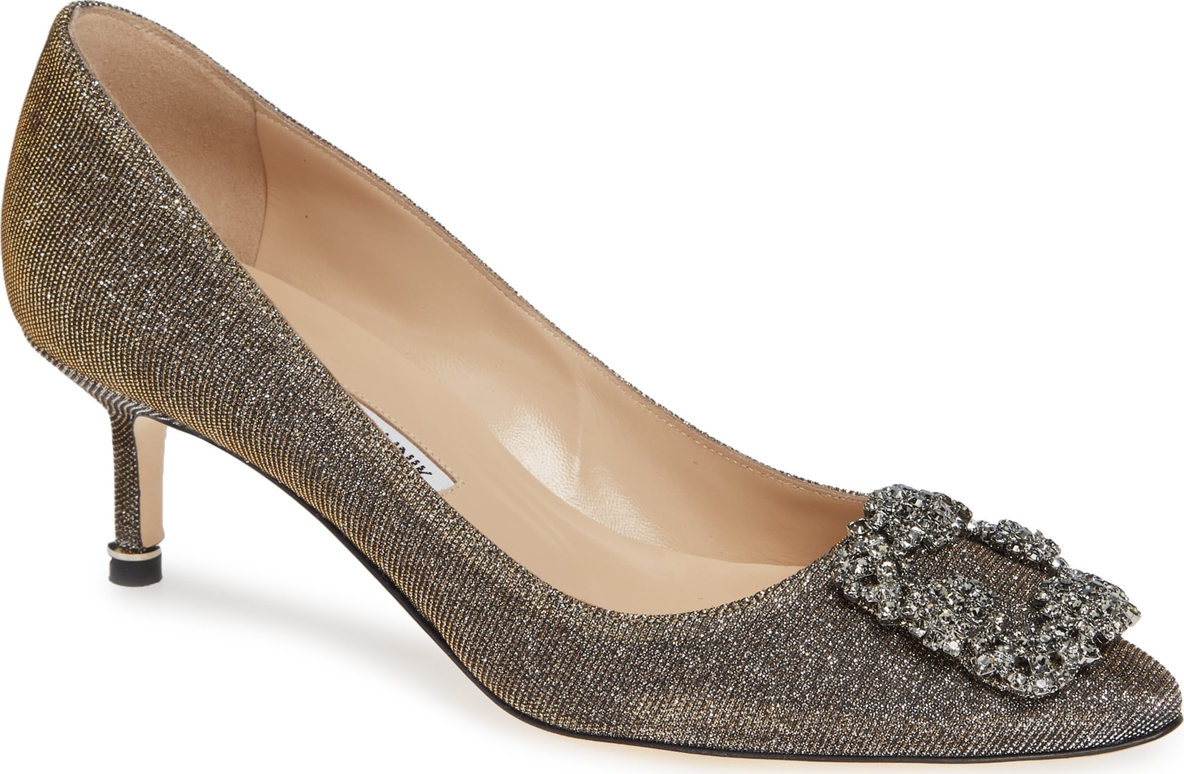 Manolo Blahnik Hangisi Crystal Embellished Pump