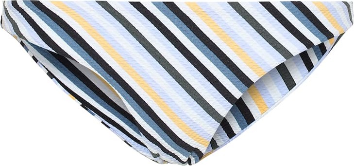 Asceno Striped bikini bottoms