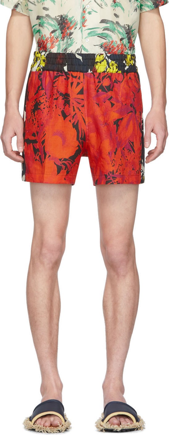 Dries Van Noten Multicolor Linen Perons Shorts