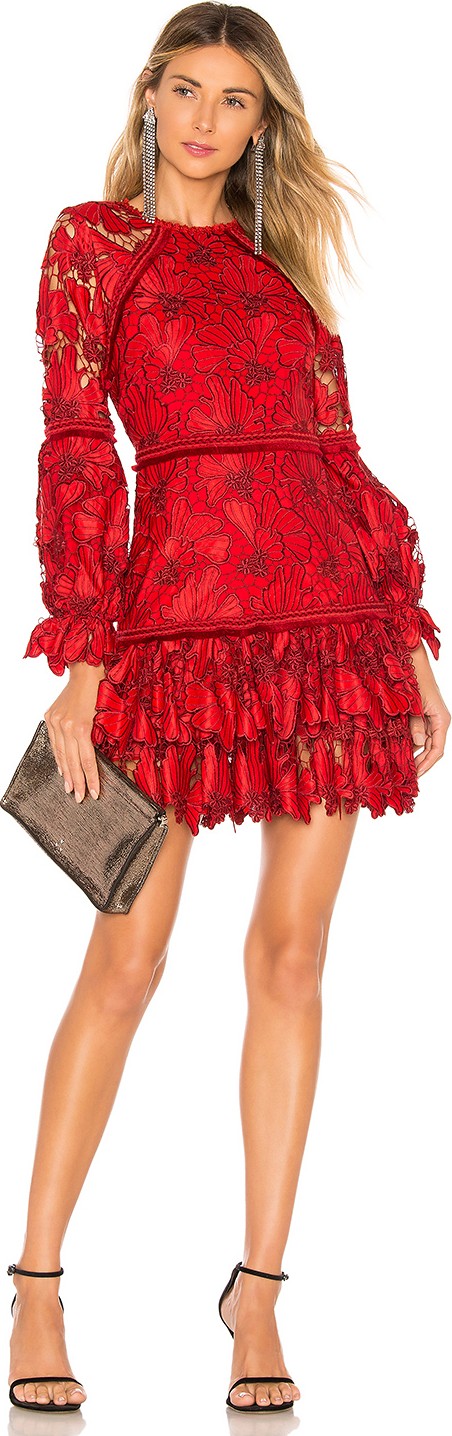 Alexis Fransisca Lace Dress