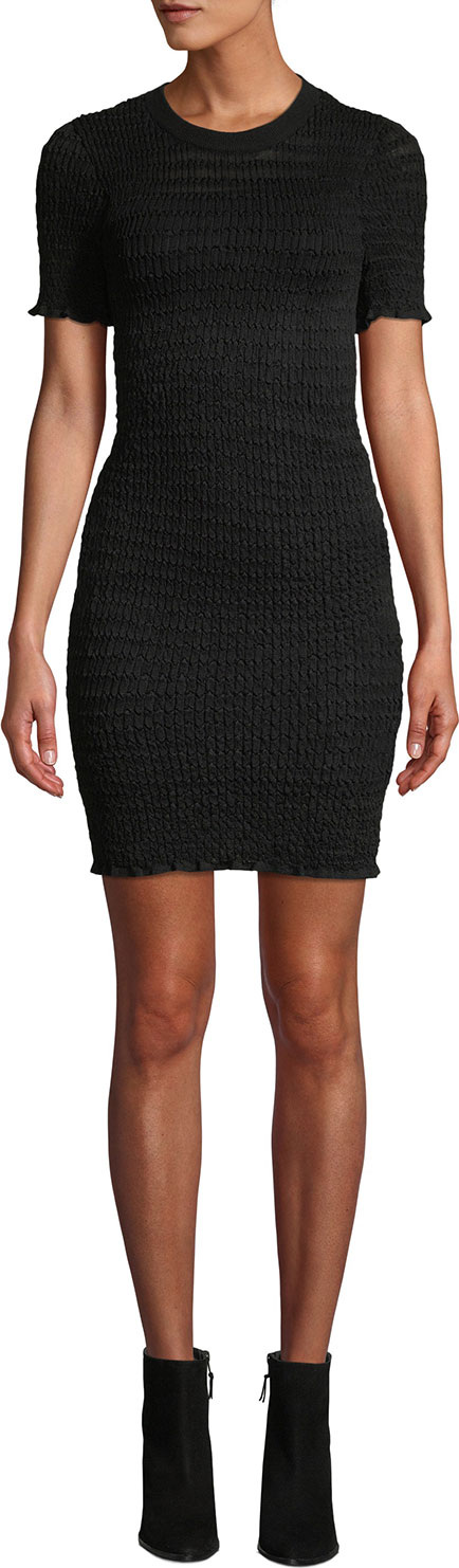 T By Alexander Wang Sheer Striped Short-Sleeve Tee Dress