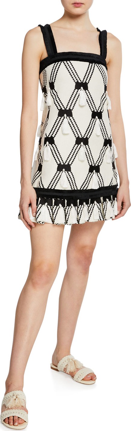 Alexis Bijou Tassel Sleeveless Short Dress