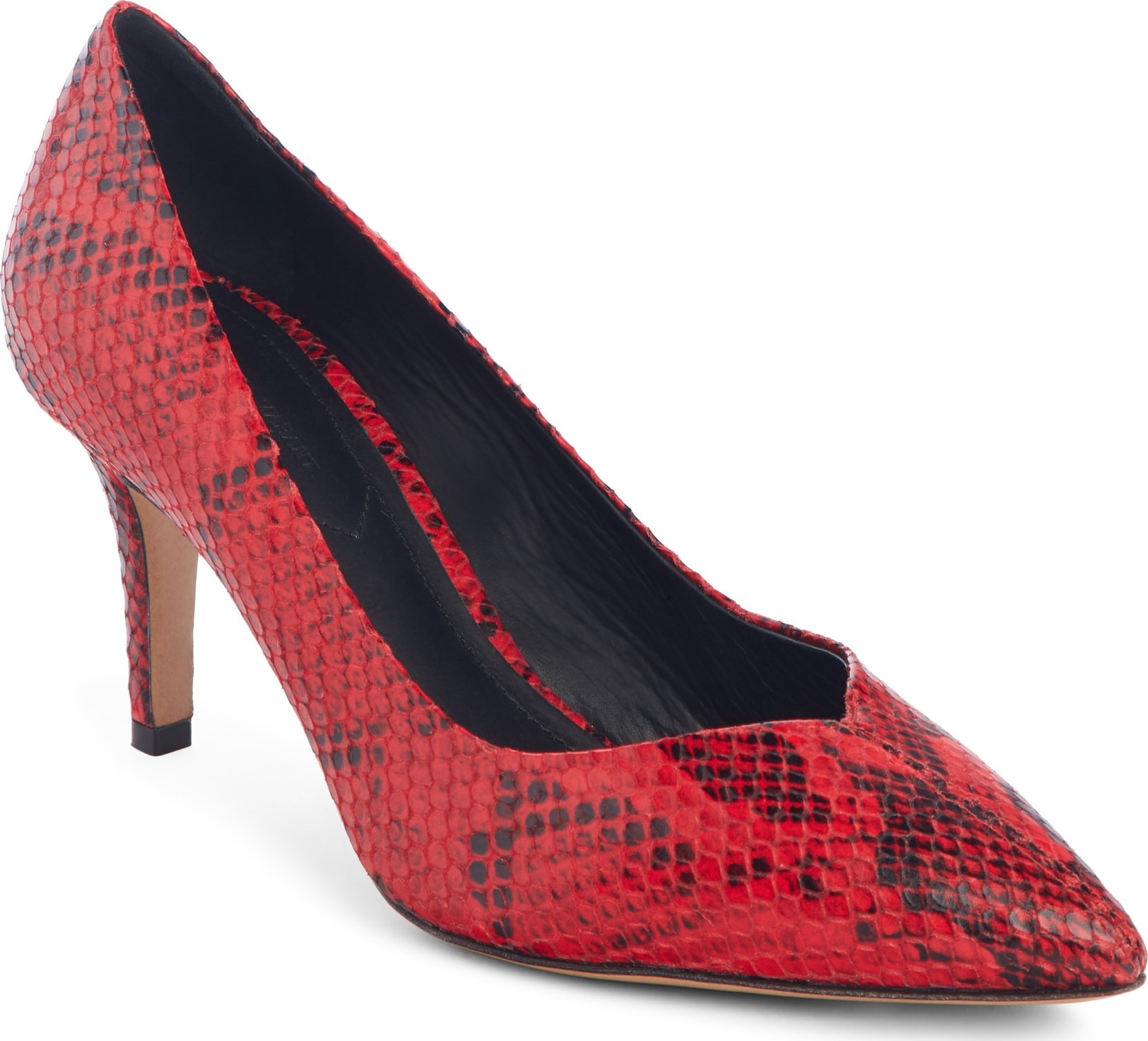 Isabel Marant Pully Pointy Toe Pump