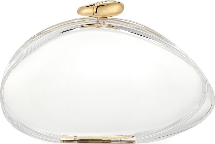 Benedetta Bruzziches Ariel Transparent Clutch Bag