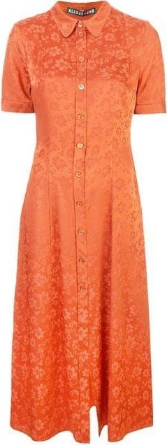 Alexachung floral embroidered dress