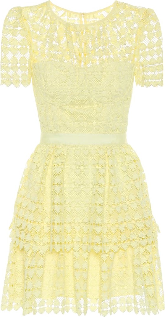 Self Portrait Floral-lace minidress