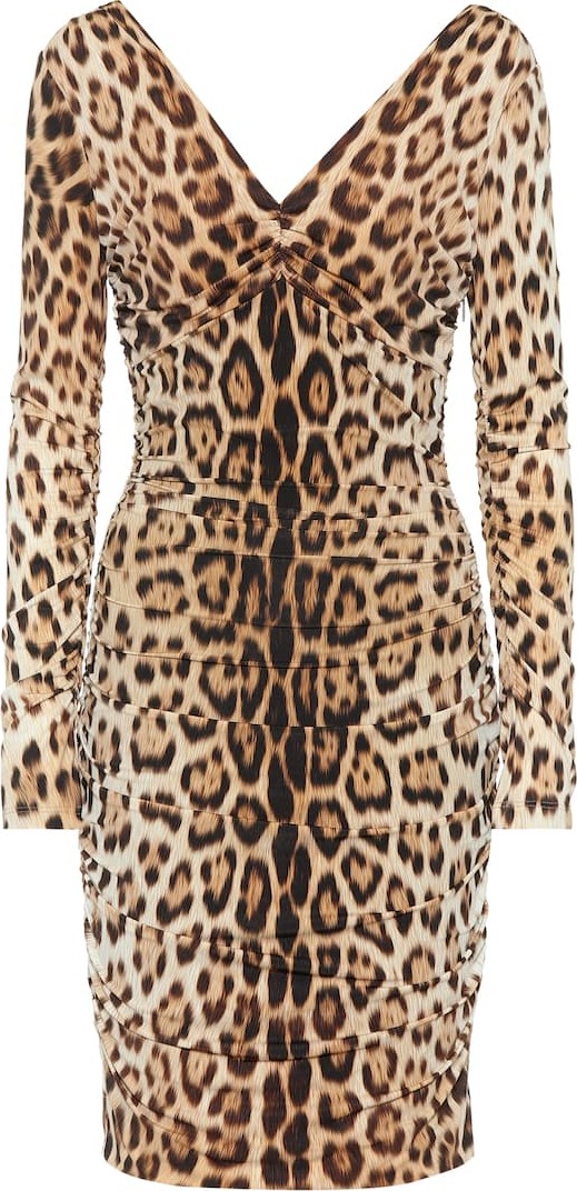 Roberto Cavalli Leopard-print dress