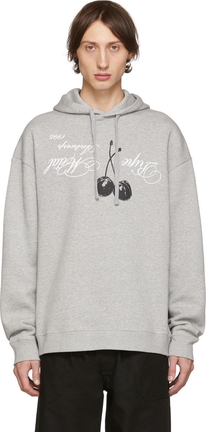 Raf Simons Grey 'Ripe Metal' Hoodie
