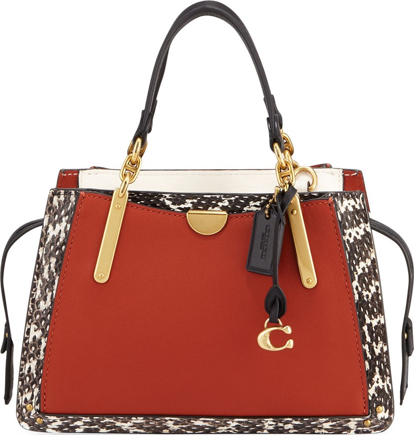 COACH 1941 Colorblock Exotic Dreamer 21 Bag
