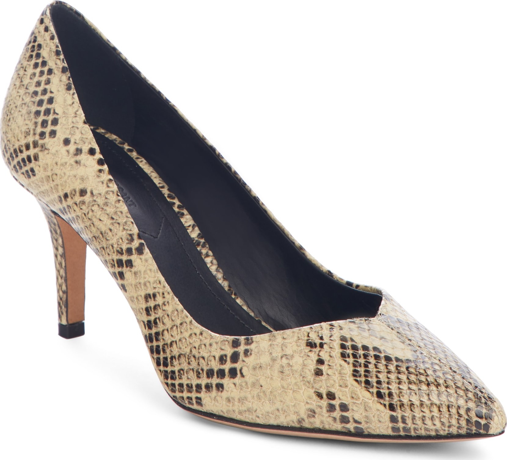 Isabel Marant Pully Pointy Toe Pump