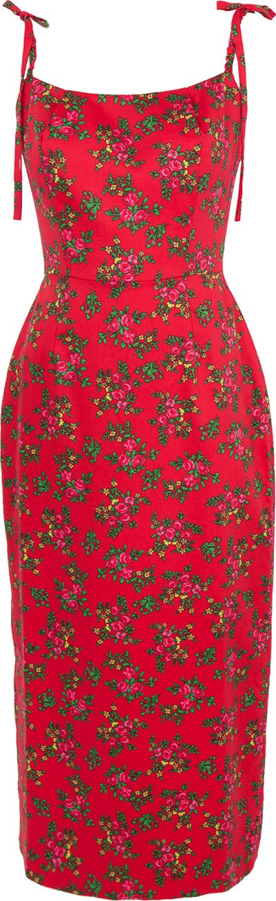 The Vampire's Wife Night Garden Dress