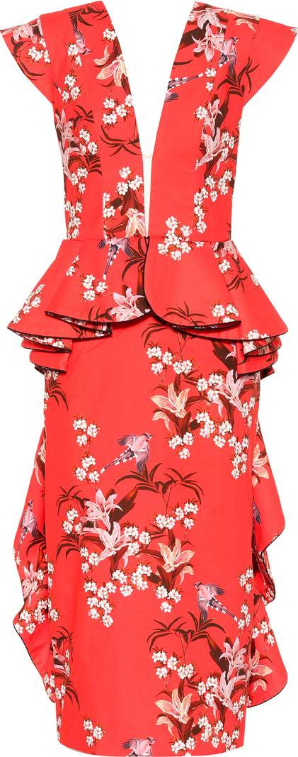 Johanna Ortiz Florearse cotton dress