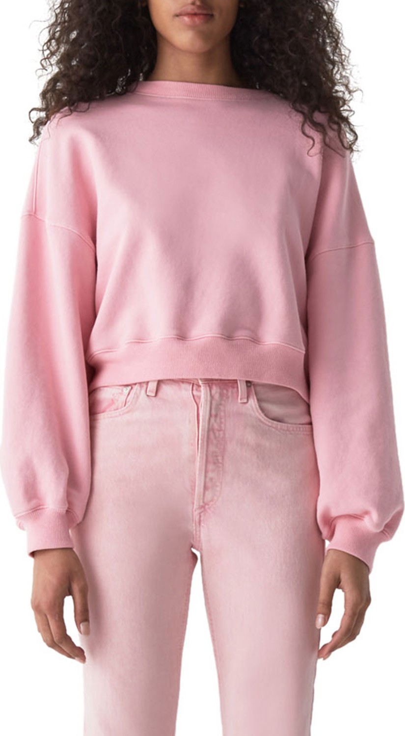 Agolde Riley High-Rise Straight Crop Jeans