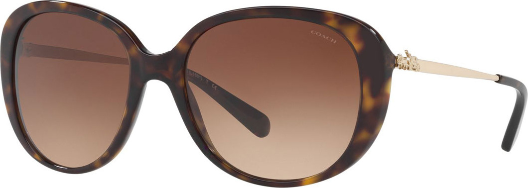 COACH Oval Acetate Sunglasses w/ 3D Stagecoach Detail