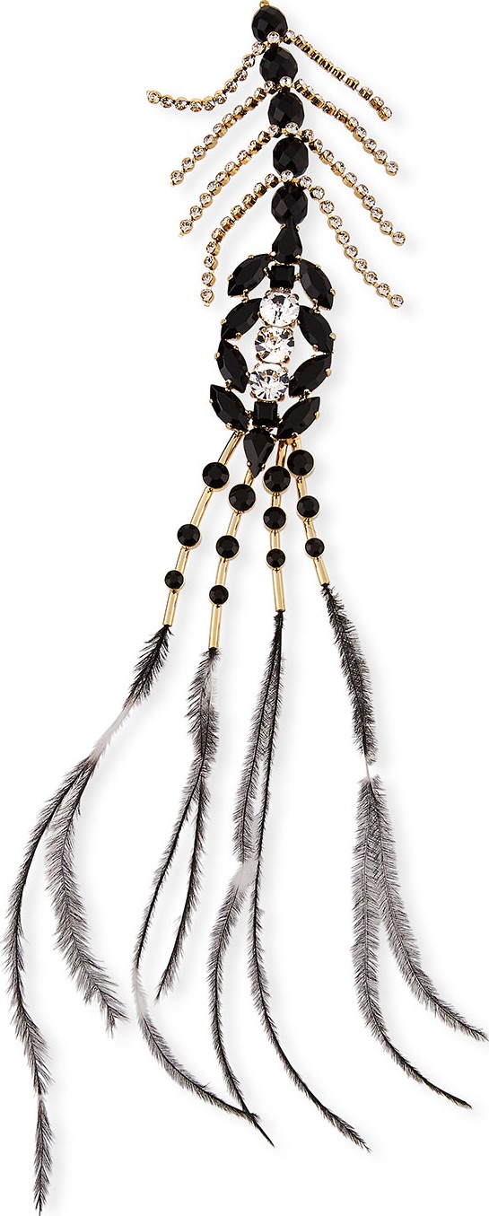 Dries Van Noten Large Rhinestone & Feather Pin