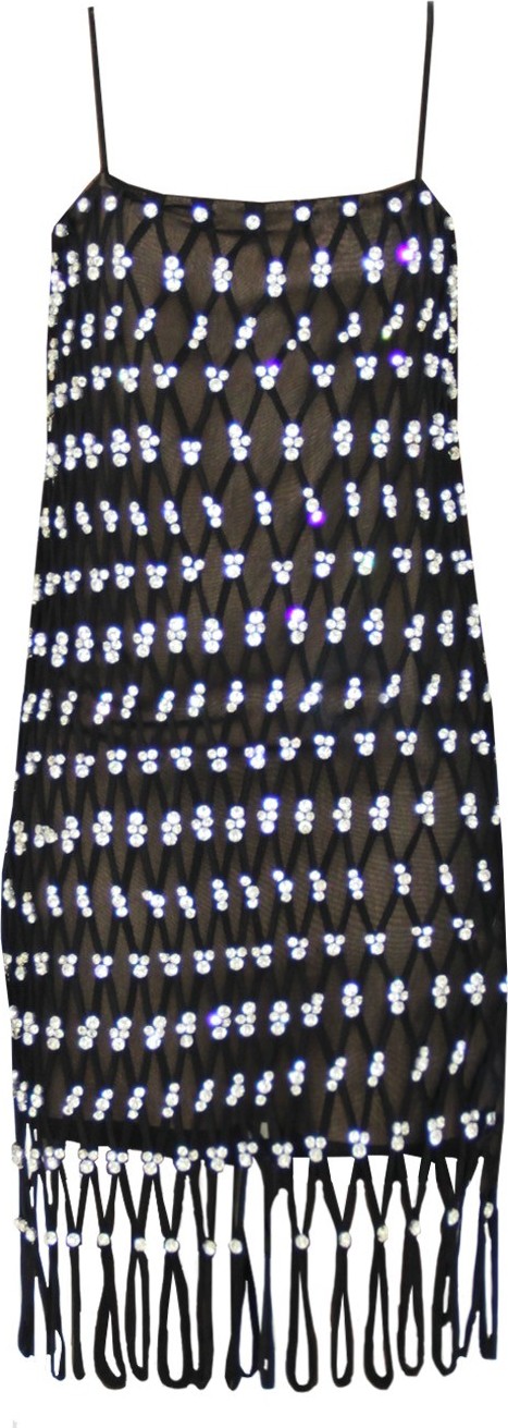 Area Embroidered Net Dress