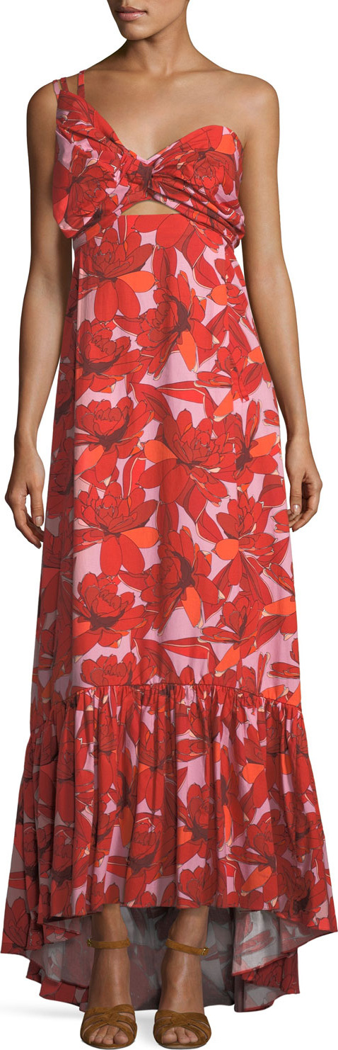 Johanna Ortiz Cimarron Rose-Print One-Shoulder Long Cotton Poplin Dress